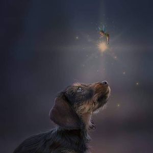 Meet your Posher, Ney